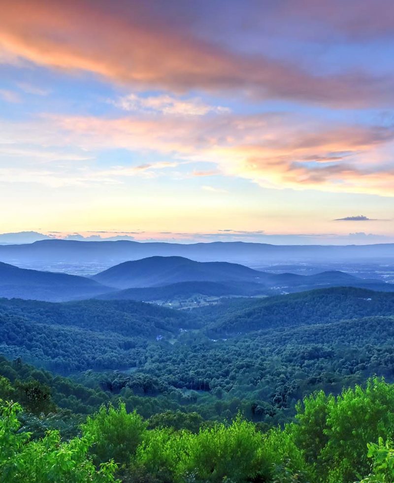 Lynchburg Virginia Estate Planning and Elder Law Firm