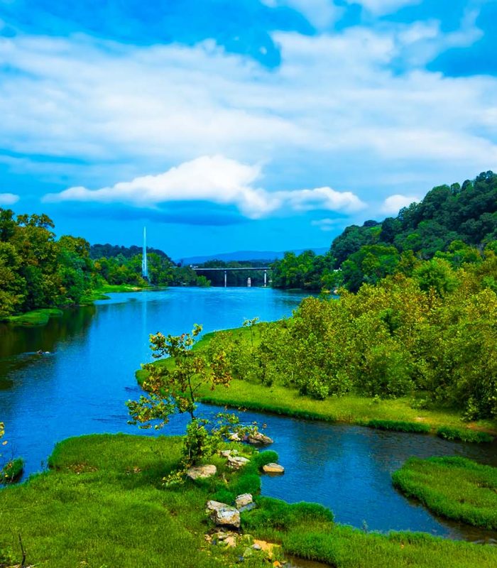 About Virginia Elder Law Firm Virginia Elder Law, PLC